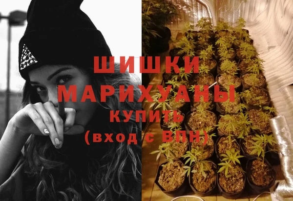 ПСИЛОЦИБИНОВЫЕ ГРИБЫ Аркадак